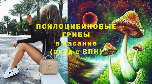 дживик Алексин