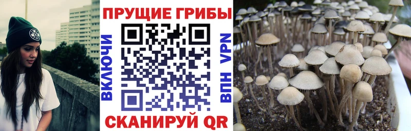 Псилоцибиновые грибы прущие грибы  дарнет шоп  Фёдоровский 
